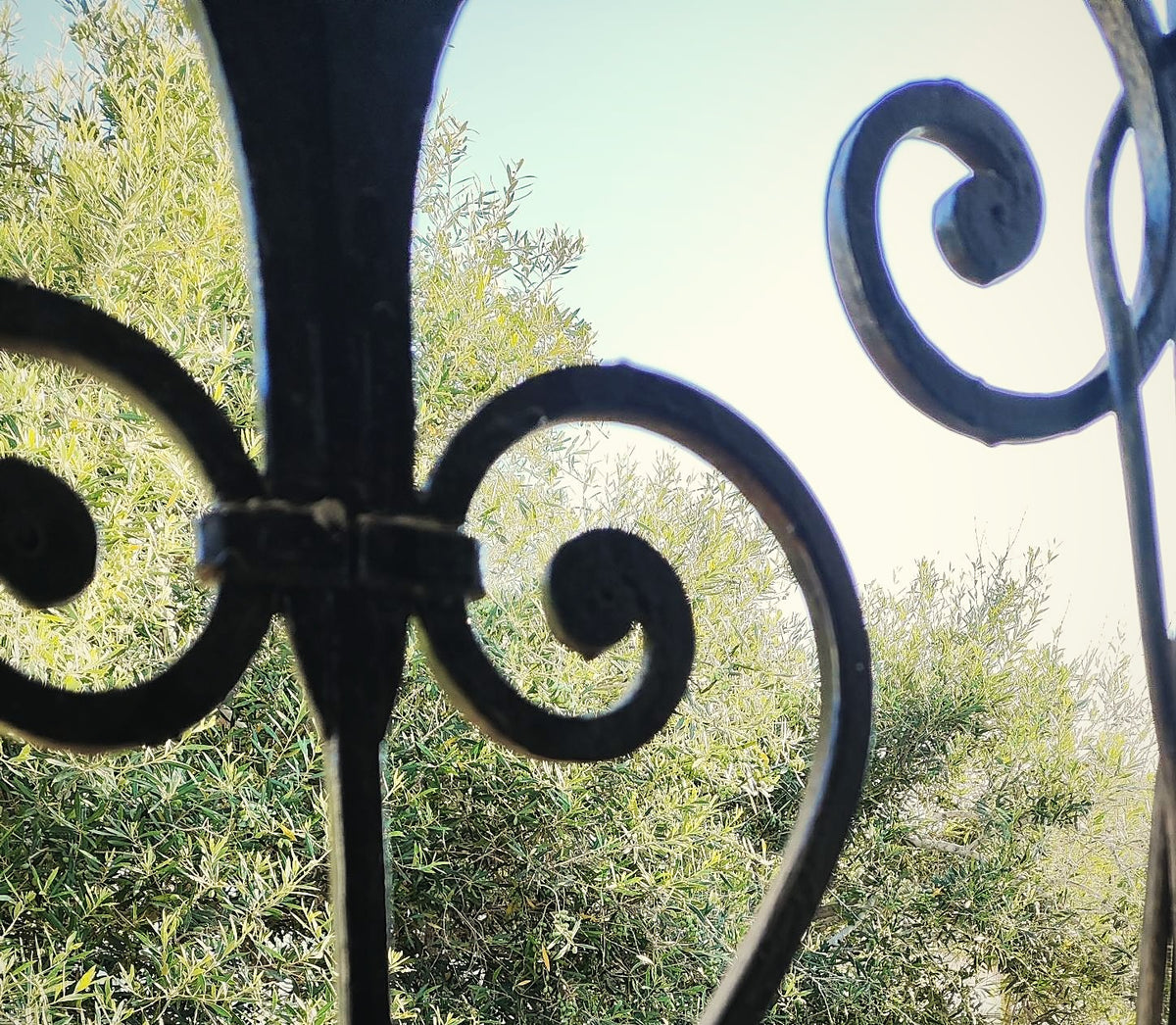 Old olive trees behind a wrought-iron gate, where Nawara Craft olive wood comes from